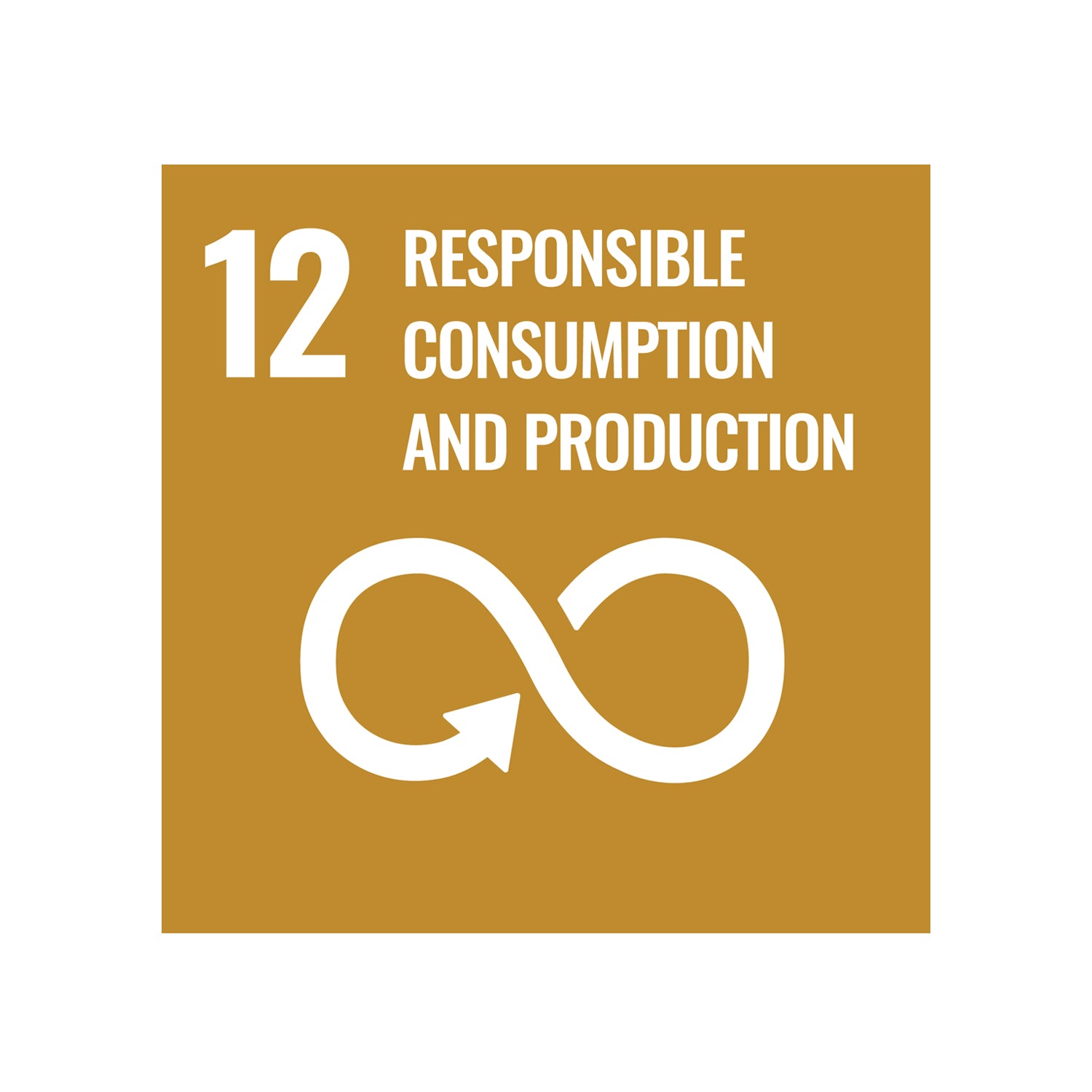 Icon for sustainable development goal 12; Responsible consumption and production.