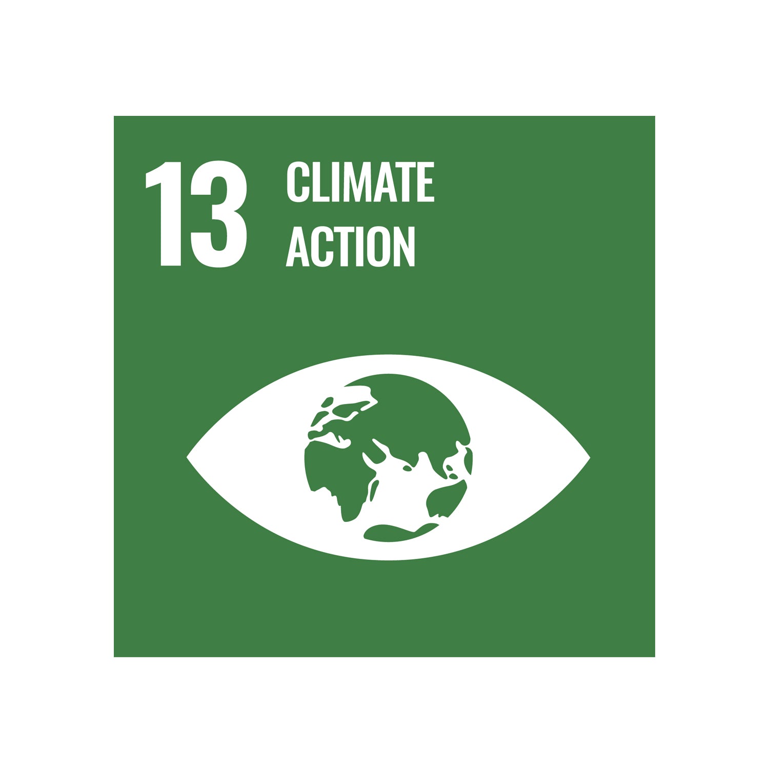 Icon for sustainable development goal 13; Climate action