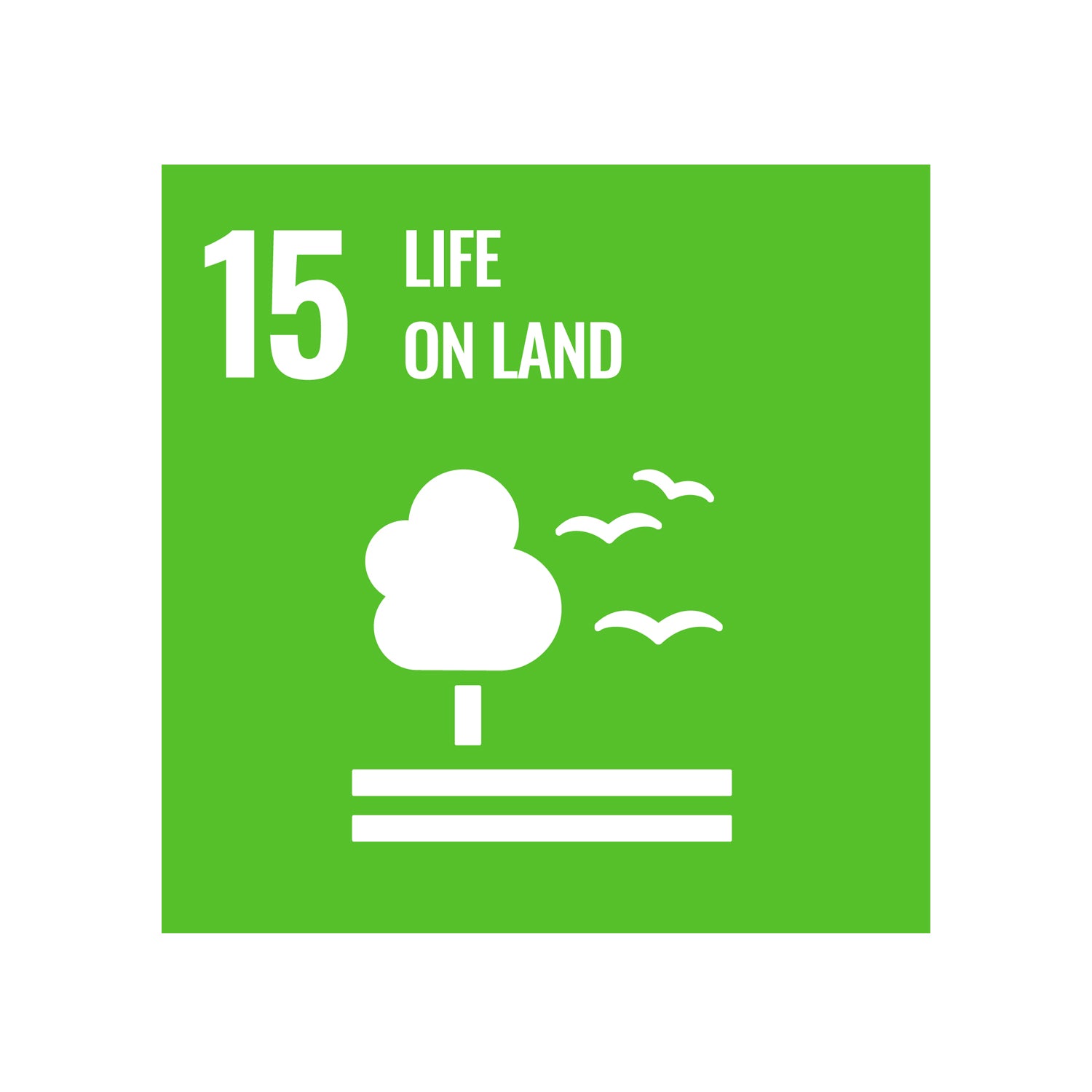 Icon for sustainable development goal 15; Life on Land