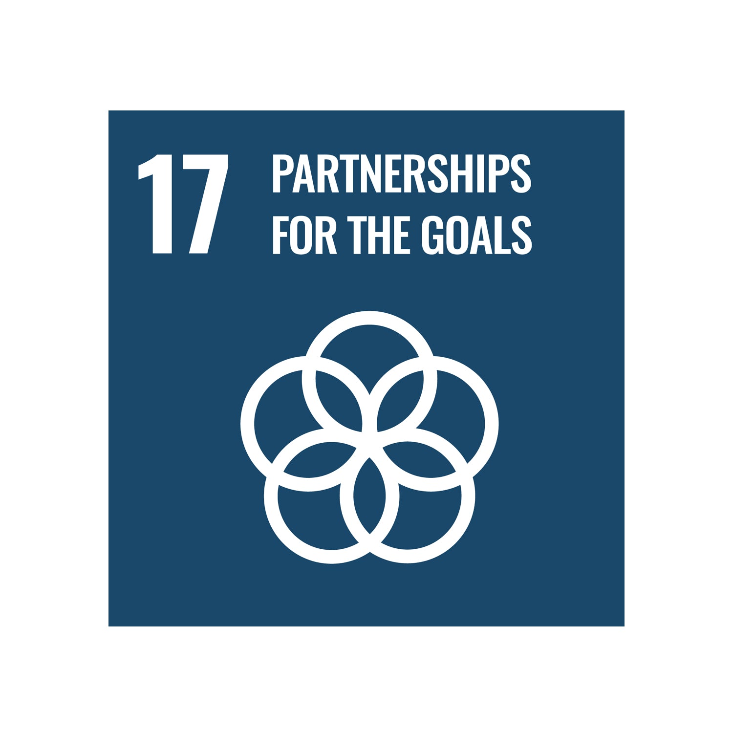 Icon for Sustainable Development Goal 17; Partnerships for the goals.